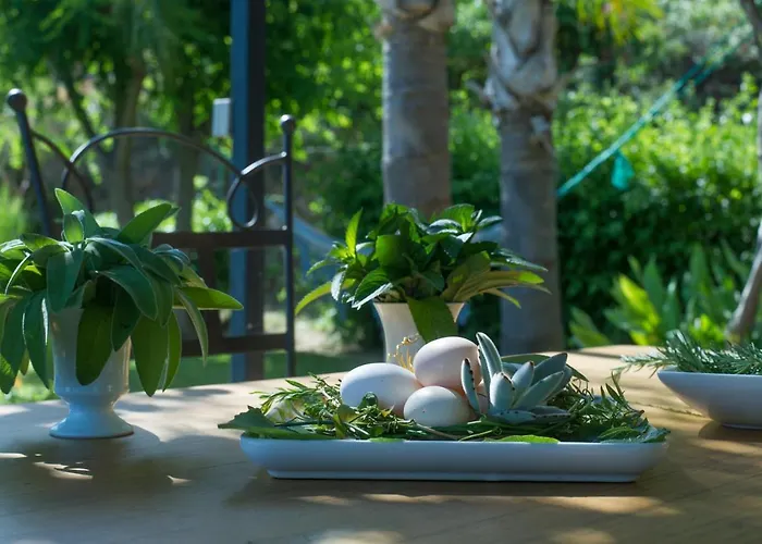 House With Garden And Sea View Casa de Férias
