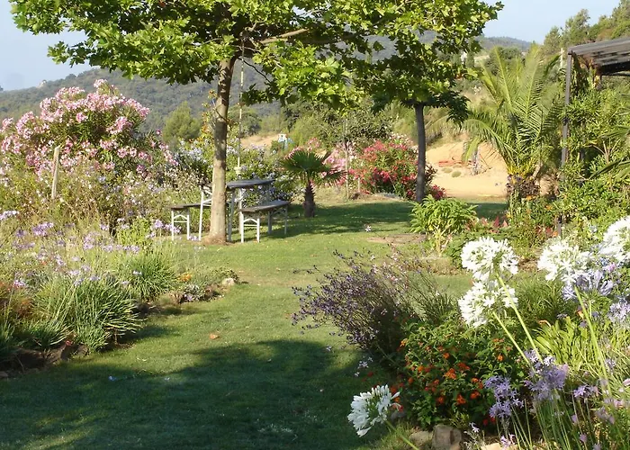 Casa de Férias House With Garden And Sea View