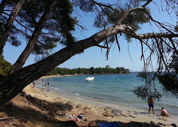 House With Garden And Sea View * La Londe-les-Maures